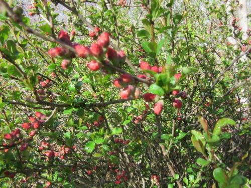 b0247153_04413536.jpg