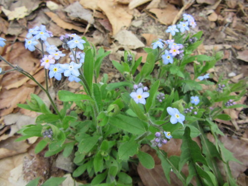b0247153_05355595.jpg