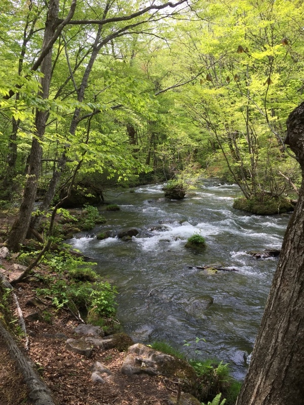 c0215653_22425711.jpeg
