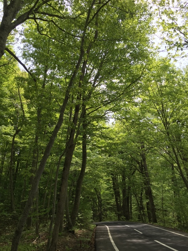 癒しの風景 手作りのある毎日 癒しの風景 手作りのある毎日