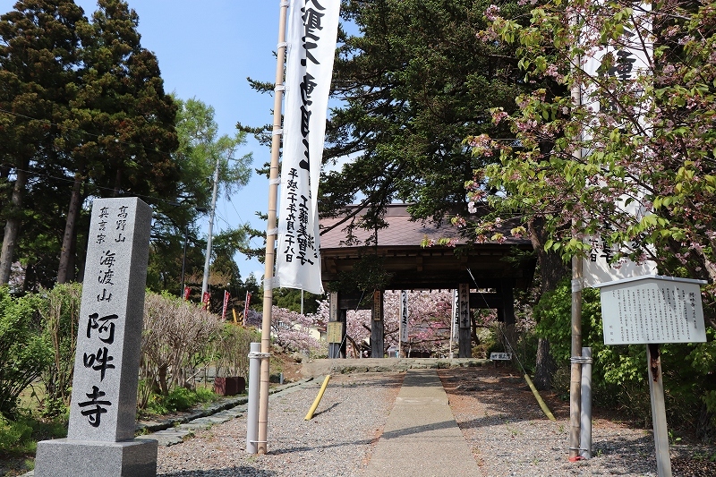 5月12日　松前公園　６　見本園～阿吽寺_b0250154_05585968.jpg