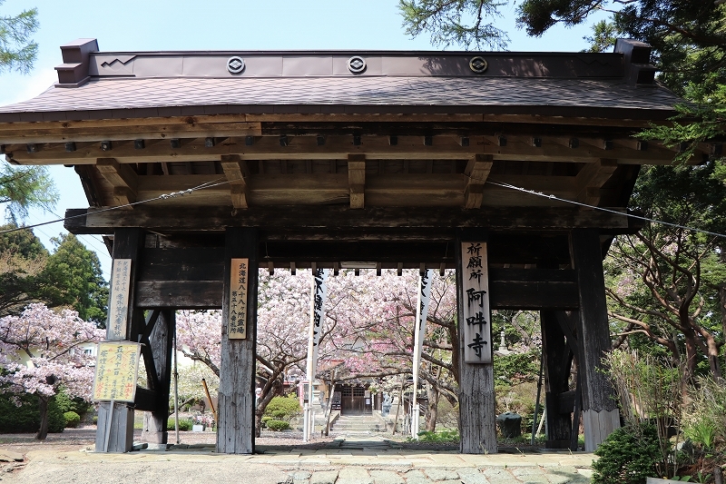 5月12日　松前公園　６　見本園～阿吽寺_b0250154_05592196.jpg