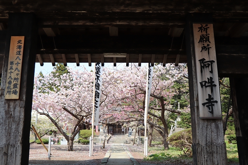 5月12日　松前公園　６　見本園～阿吽寺_b0250154_05594166.jpg