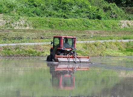 田植えの季節に【市報配送５月１５日号】_a0346455_15112837.jpg