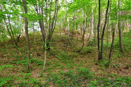 c0294658_12231184.jpg