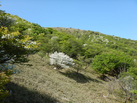 d0231858_15124968.jpg