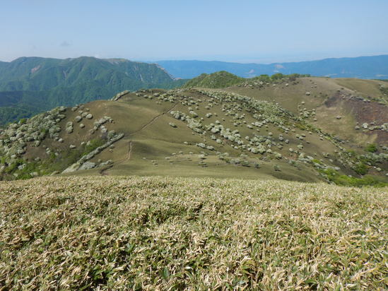 d0231858_15302828.jpg