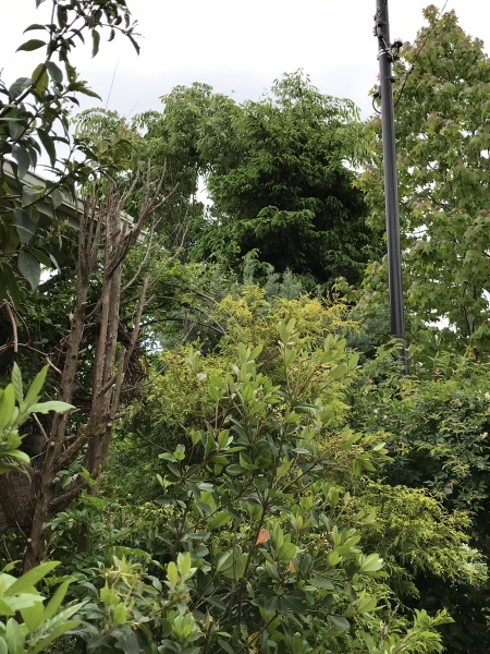 d0298558_23554453.jpeg