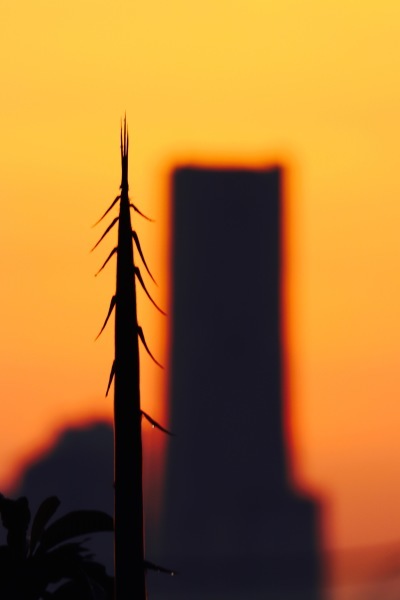 a0248459_14225445.jpg