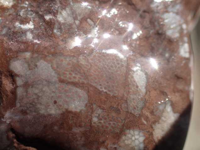d0171959_00164126.jpg