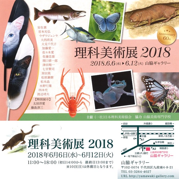 【展覧会】6/6〜6/12 理科美術展2018_a0021565_0431140.jpg