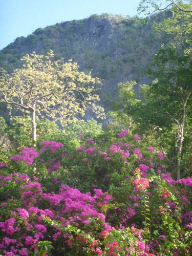 c0329868_13250914.jpg
