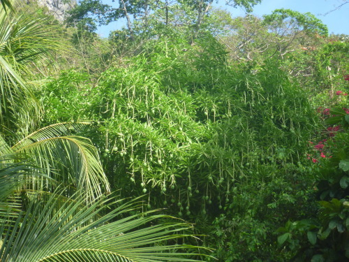 c0329868_13251466.jpg