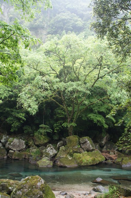 2018ゴールデンウィーク鹿児島拾遺、休暇終わりのもろもろ振り返りや体調不良など_b0116271_14551143.jpg