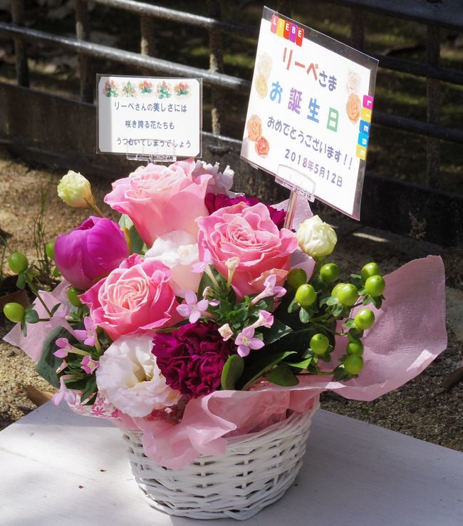 b0014576_03305039.jpg
