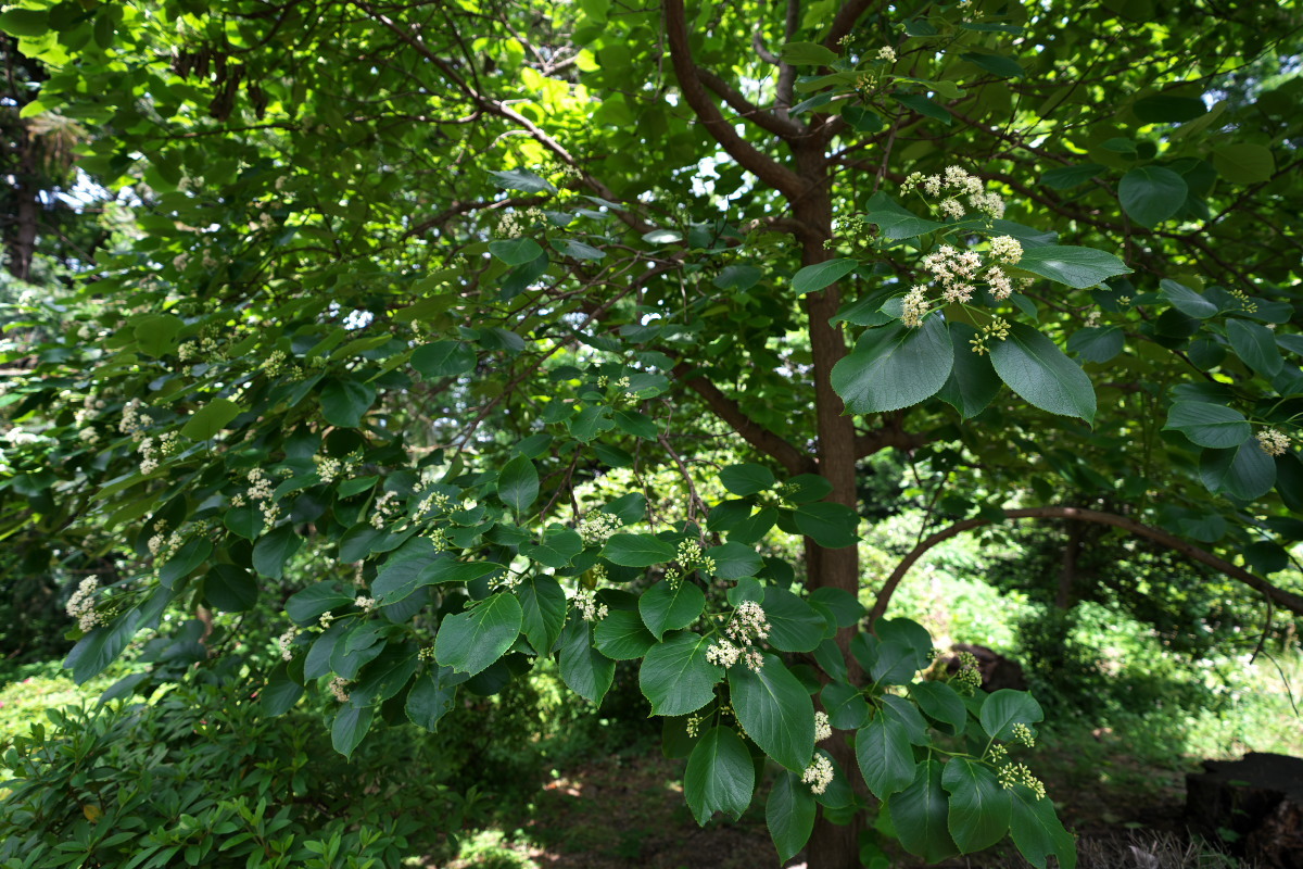 a0083081_20440049.jpg