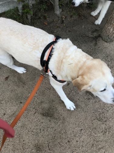 f0315081_17322319.jpeg