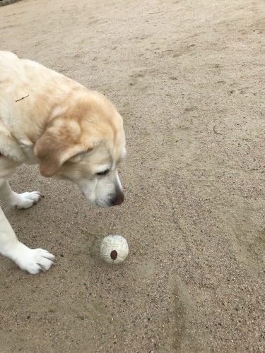 f0315081_17332599.jpeg