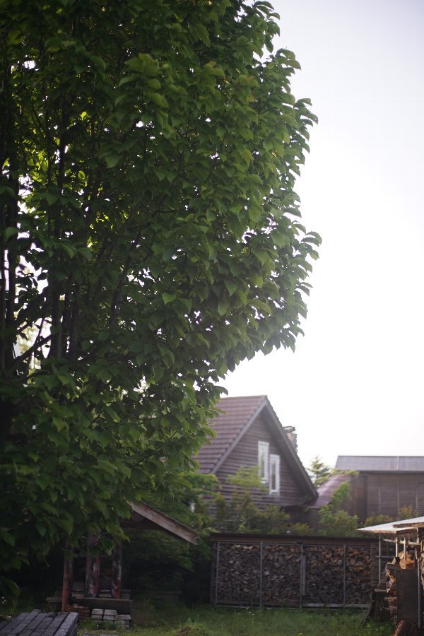 d0138082_19415453.jpg