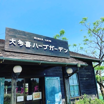 ハーブ旅な月曜日となりました_a0191183_17161753.jpg