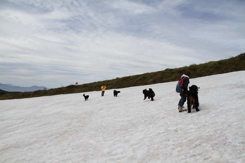 ちょっと雪遊び_b0158390_15433547.jpg