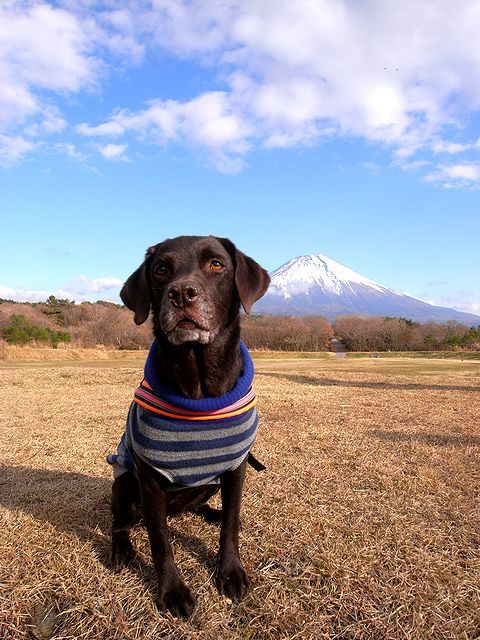 a0093592_00381459.jpg