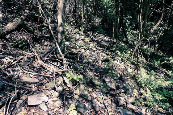 e0176993_06562836.jpg