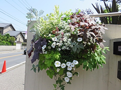 d0046702_07390550.jpg