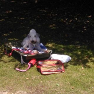 e0359403_12262904.jpg