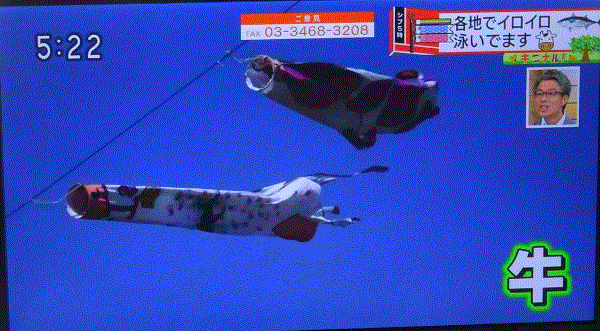 f0231709_13051156.gif