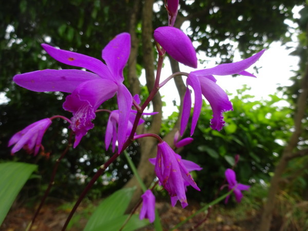 f0231709_14410318.jpg