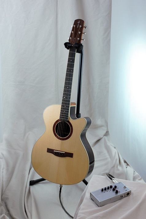 よく鳴る「Acoustic-Electric Guitars」エレアコ　６_d0200414_19193462.jpg