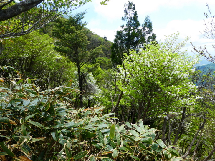 d0170615_11094180.jpg