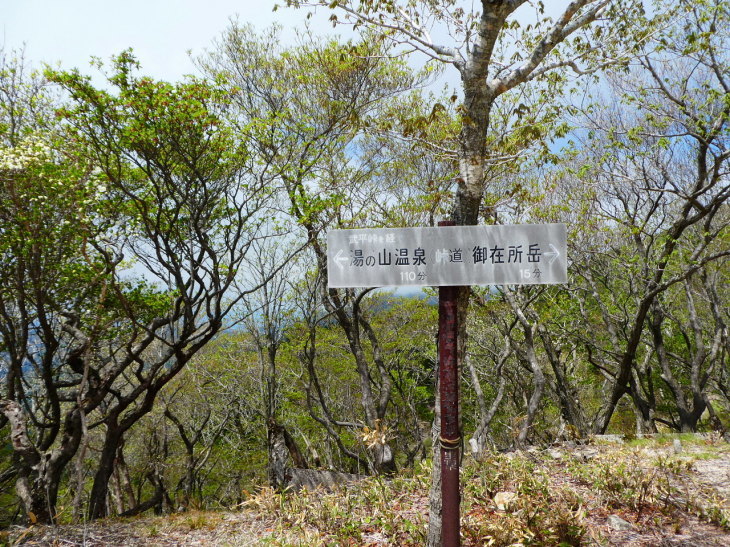 d0170615_11100202.jpg