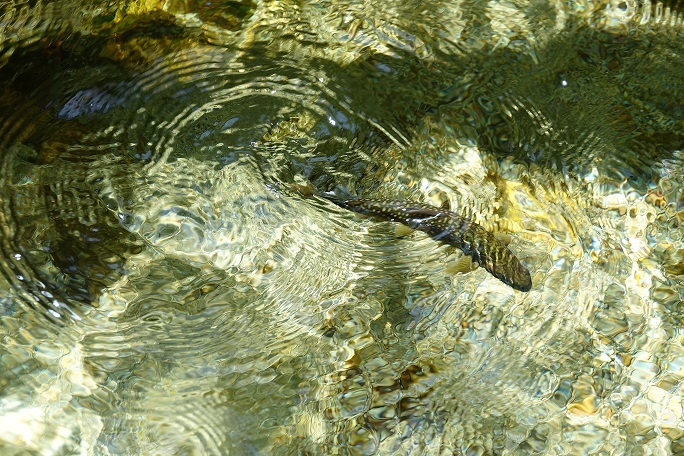 f0360815_15133951.jpg
