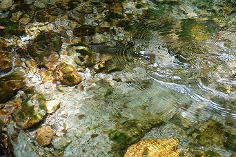f0360815_15133970.jpg