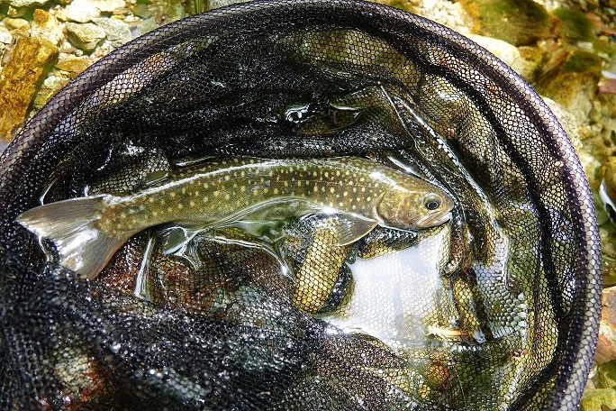 f0360815_15133997.jpg