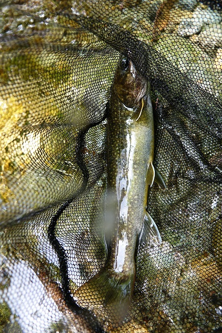 f0360815_15134004.jpg