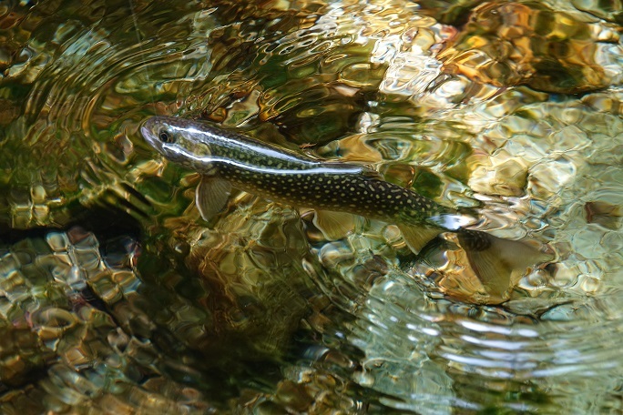 f0360815_15134061.jpg
