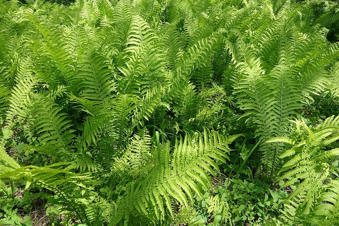 f0360815_15134089.jpg