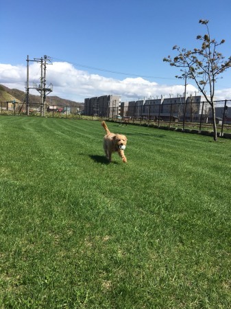 c0137719_13030891.jpeg