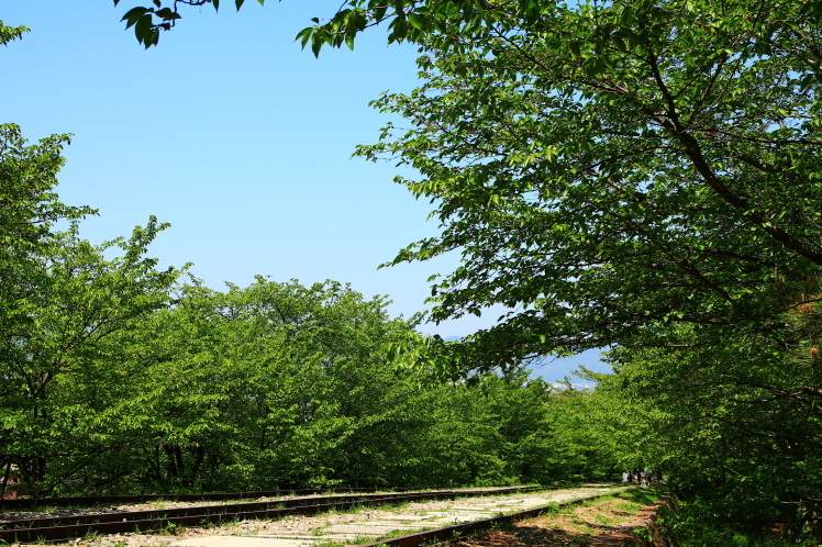 f0209122_19450322.jpg