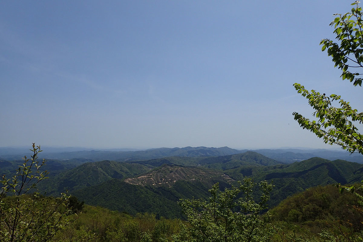 c0064025_16272424.jpg