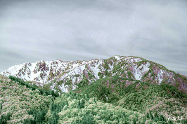 f0186527_18592912.jpg