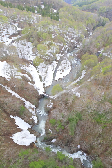 c0201929_07165224.jpg