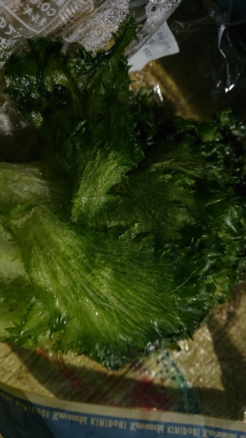f0118332_20121275.jpg