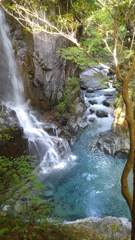 f0361132_16372340.jpg