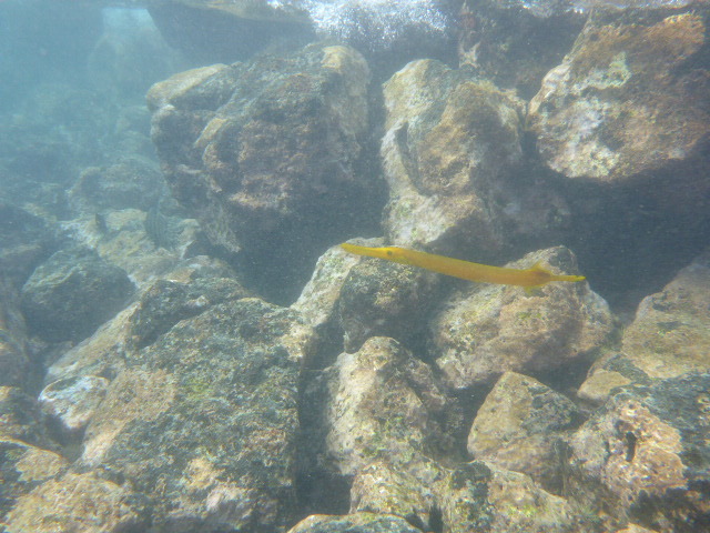 c0077835_02022899.jpg