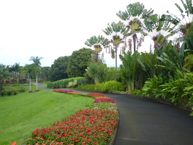 c0077835_02051359.jpg