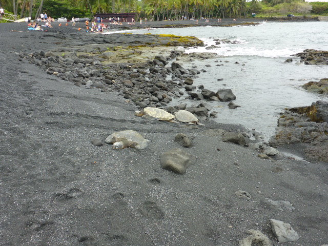 c0077835_02114056.jpg